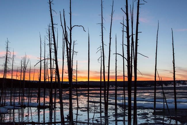 North Carolina man fell into Yellowstone hot spring, burned | iNFOnews.ca North Carolina man fell into Yellowstone hot spring, burned | iNFOnews.ca