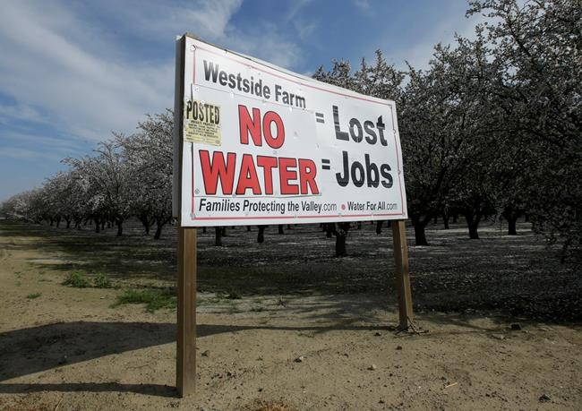 California wants millions to fund water project | iNFOnews.ca