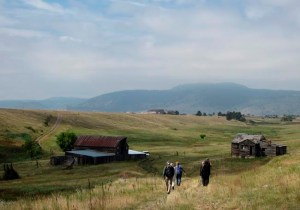 CP2049951636