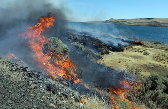 US launches ambitious plan to battle rangeland wildfires | iNFOnews.ca