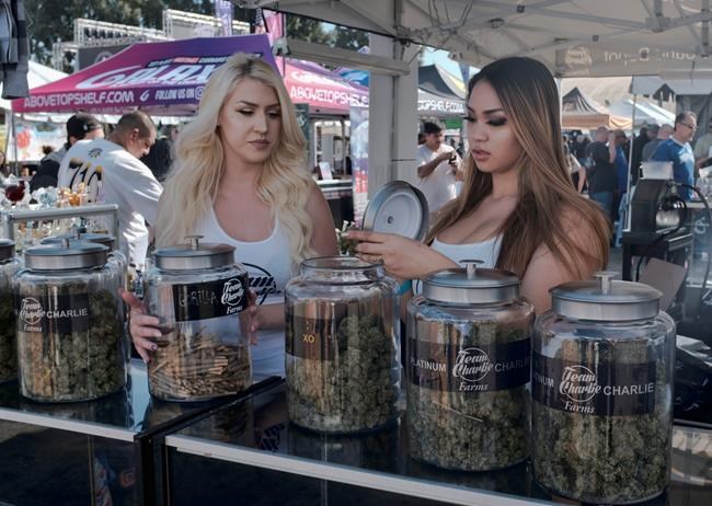 California opens online system to license new pot industry | iNFOnews.ca CP1567520900