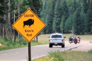 CP1173471321