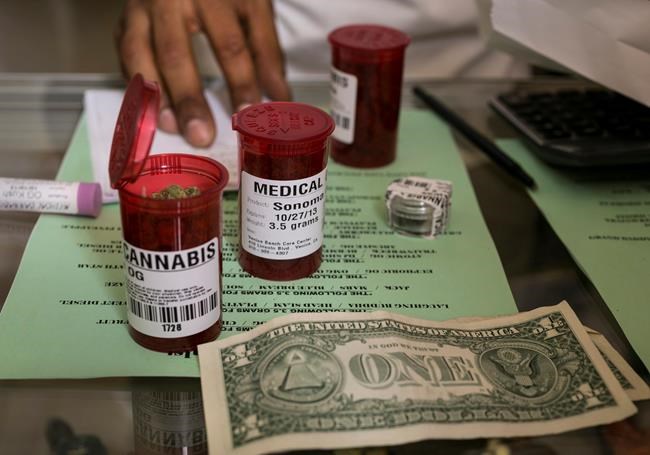 Government jobs sprouting as legal pot looms in California | iNFOnews.ca