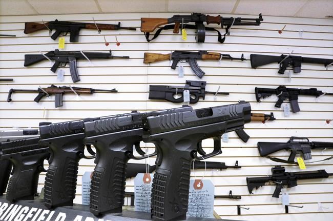 Gun background check system riddled with flaws | iNFOnews.ca