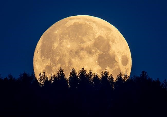 Space agency: Human urine could help make concrete on moon | iNFOnews.ca Space agency: Human urine could help make concrete on moon | iNFOnews.ca
