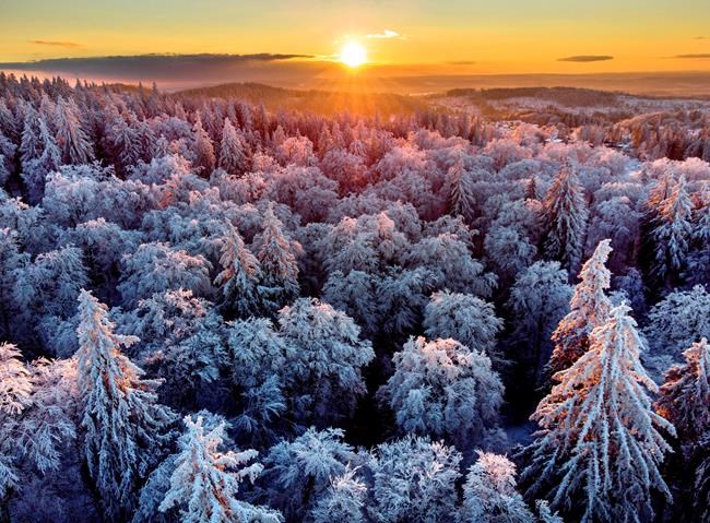 Woman gives birth outdoors in freezing temps in Germany | iNFOnews.ca