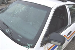 CP20552069