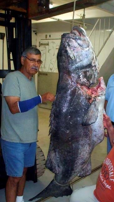 Lives Lost: Man of the sea made the Arizona desert his home | iNFOnews.ca