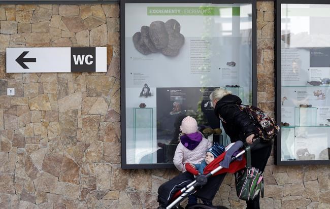 Whose poo is this? Prague Zoo takes a closer look at dung | iNFOnews.ca