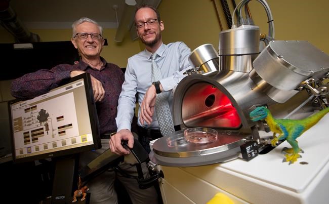 Ontario researchers testing origins of life theory in new planet simulator | iNFOnews.ca CP1097848886