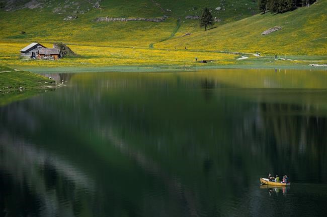 CP921478725