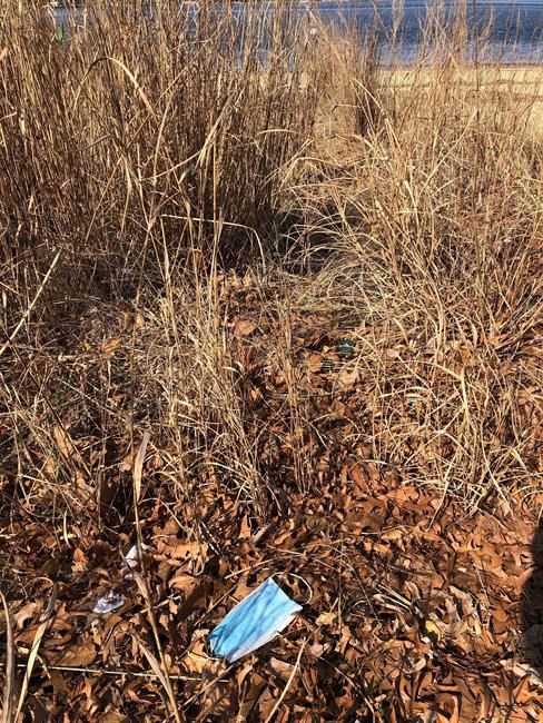 Discarded masks litter beaches worldwide, threaten sea life | iNFOnews.ca