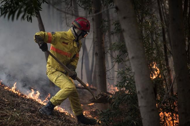 Portugal, Spain make progress against major wildfires | iNFOnews.ca CP942193118