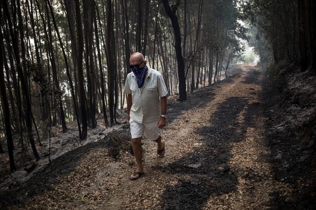 Wildfires torment Portugal, Spain; French, Dutch feel heat | iNFOnews.ca