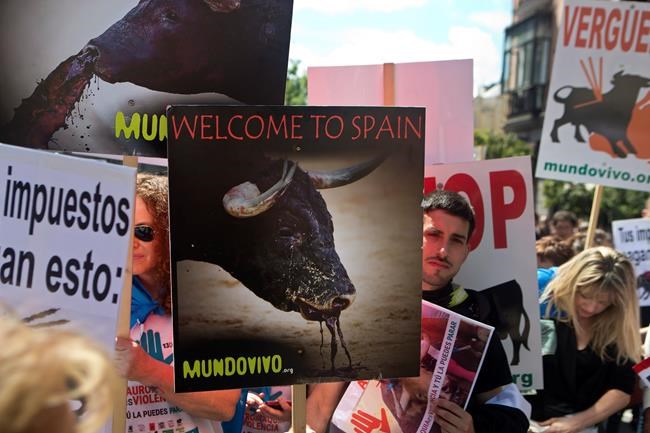 Thousands in Madrid demand end to bullfighting in Spain | iNFOnews.ca