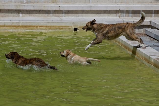 Spain sizzles as June temperatures rise | iNFOnews.ca