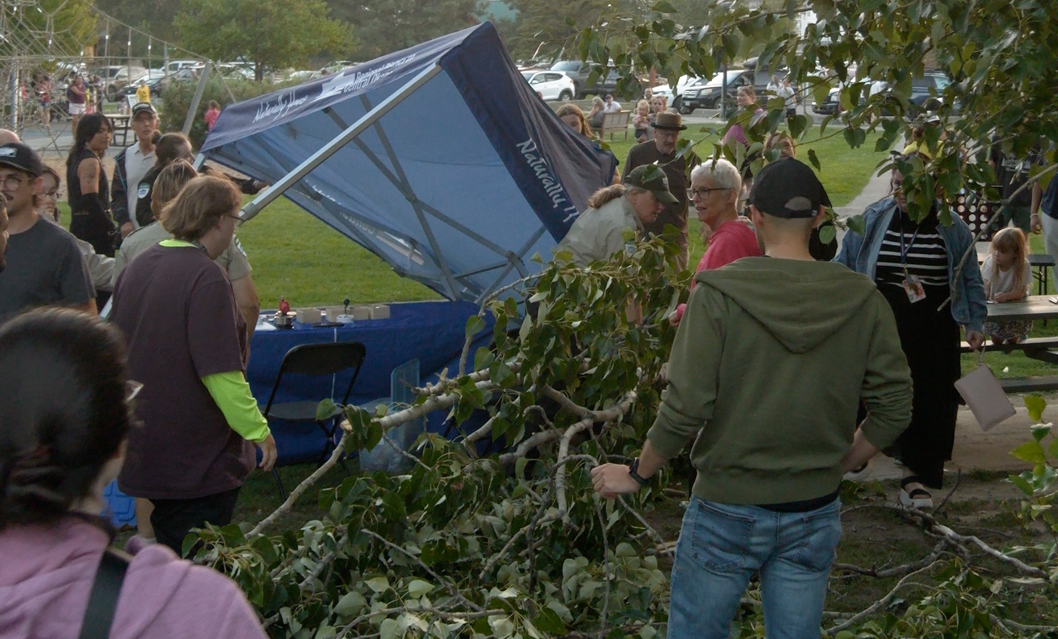 iN VIDEO: Strong winds cut Parks Alive finale short at Mission Creek Regional Park | iNFOnews.ca