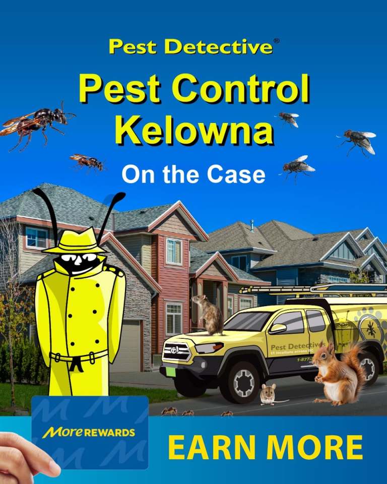 Pest Detective Is Gearing Up for Proactive Pest Control | iNFOnews.ca