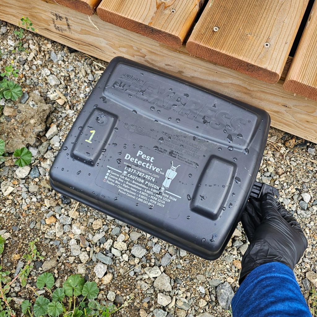 Tamper-resistant rodent bait station placed beside a wooden deck.