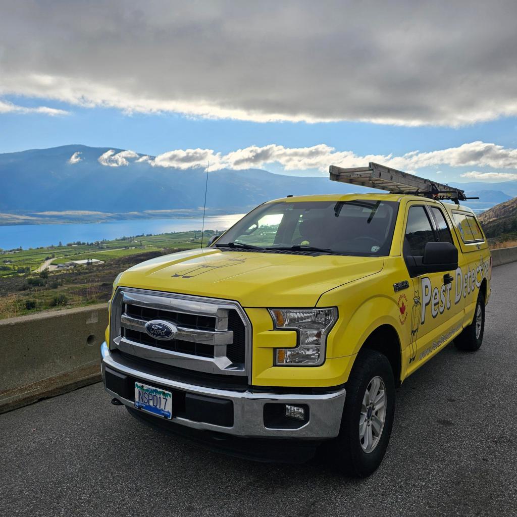 Pest Detective truck parked overlooking an Okanagan lake and vineyards.