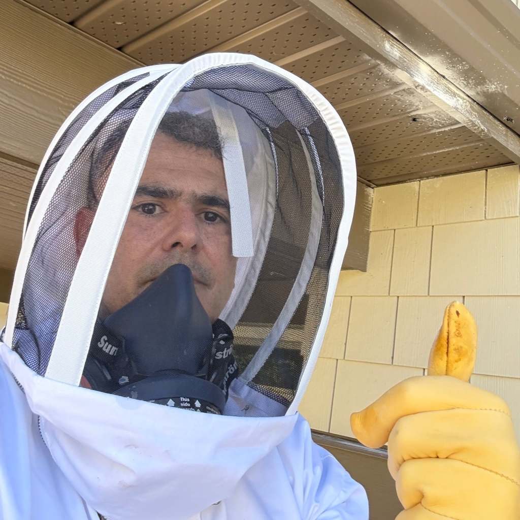 Technician in beekeeping suit giving thumbs up after wasp nest treatment.