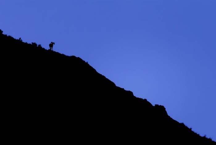 iN PHOTOS: Blue hour sets moody ambiance in Okanagan, Kamloops | iNFOnews.ca