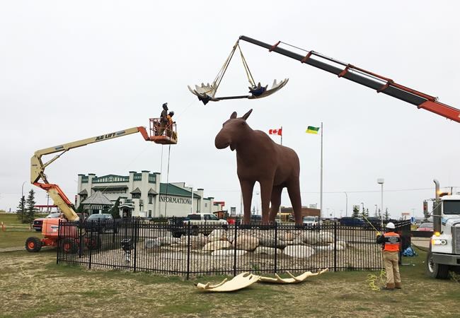 'World-record rack:' Crew crowns Mac the Moose statue with new antlers | iNFOnews.ca