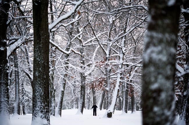 'Unbelievable' snowfall blankets parts of the Northeast | iNFOnews.ca CP1699599539