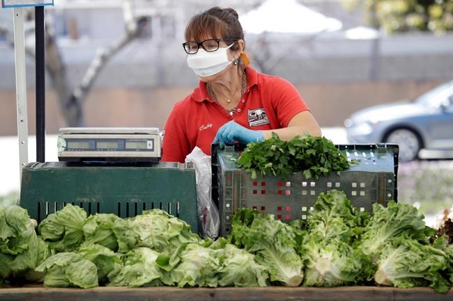 Farmers markets looking for ways to stay afloat during the pandemic | iNFOnews.ca Farmers markets looking for ways to stay afloat during the pandemic | iNFOnews.ca