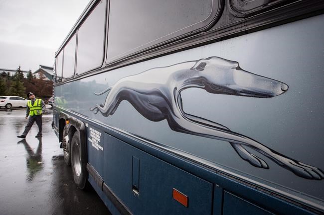 Greyhound Canada to shut down temporarily all bus routes as ridership plunges | iNFOnews.ca