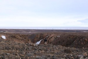 CP1593611903