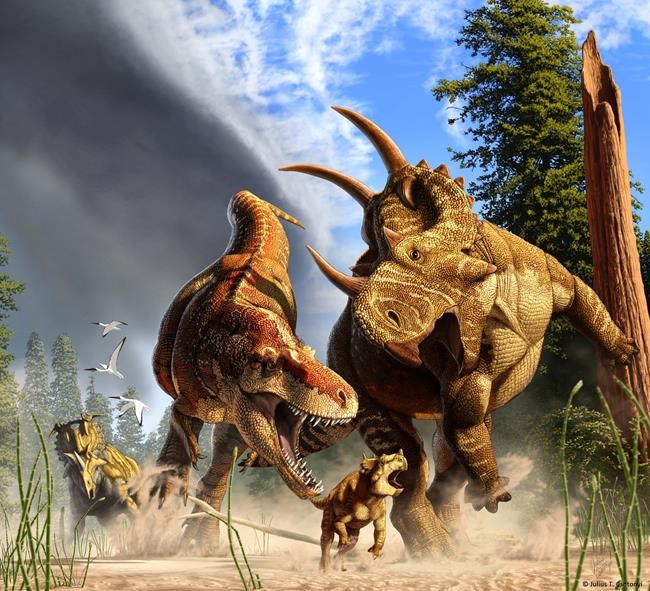 Not a sprint star: Research says T. rex was built for distance, not speed | iNFOnews.ca Not a sprint star: Research says T. rex was built for distance, not speed | iNFOnews.ca