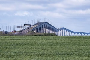 CP220546380