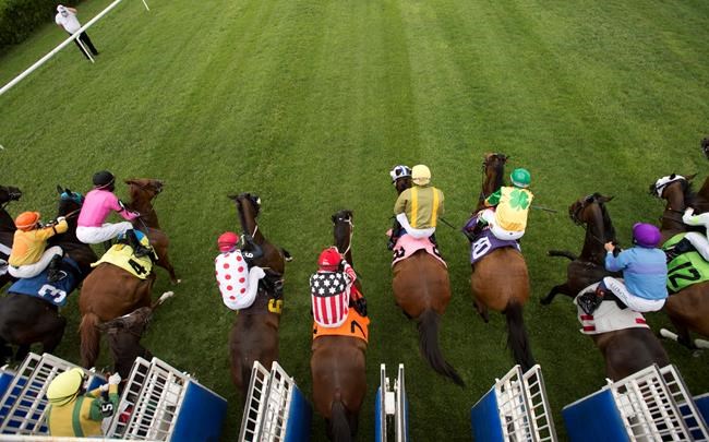 Thoroughbreds are finally off and running at Woodbine Racetrack in Toronto | iNFOnews.ca CP186218483