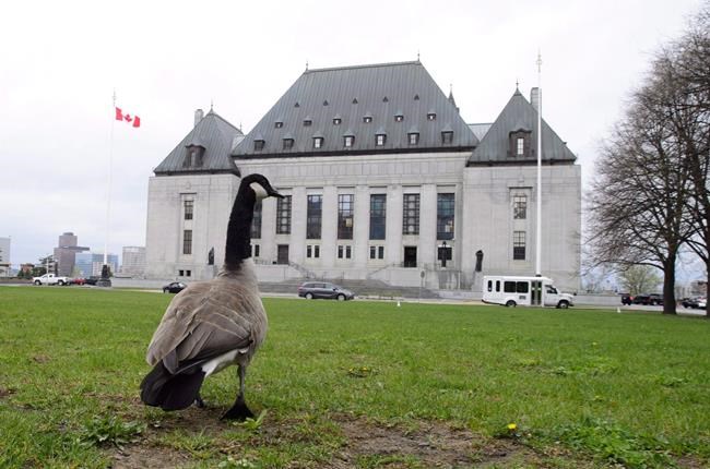 Supreme Court to hear case of Hamilton-area man who killed would-be car thief | iNFOnews.ca