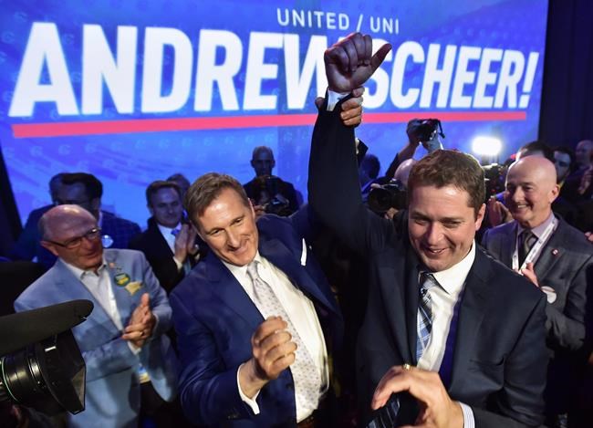 Gloves off for MacKay, O'Toole campaigns as Tory leadership race resumes | iNFOnews.ca Gloves off for MacKay, O'Toole campaigns as Tory leadership race resumes | iNFOnews.ca