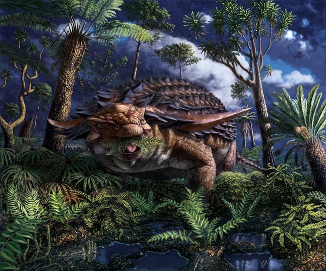 Fermenting ferns? Rare dinosaur stomach fossil opens door to ancient world | iNFOnews.ca