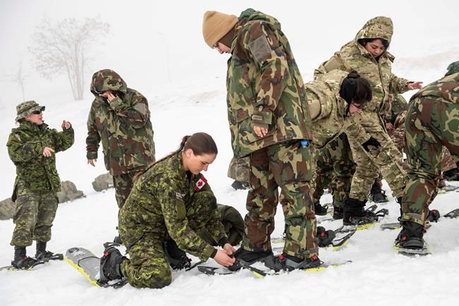Canadian military shrinks Middle East footprint as ISIL fight enters new phase | iNFOnews.ca CP729551910