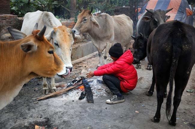 North India prepares for New Year's enveloped in cold smog | iNFOnews.ca