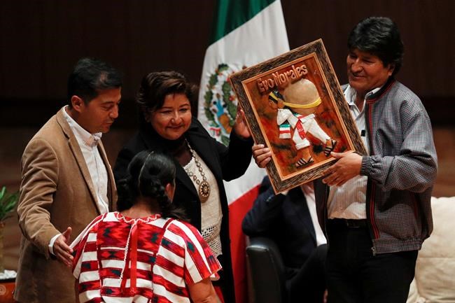 Bolivian senator: Evo Morales fell due to betrayals, errors | iNFOnews.ca