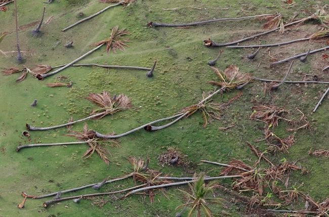 A decade of crop loss from Hurricane Matthew in Haiti | iNFOnews.ca