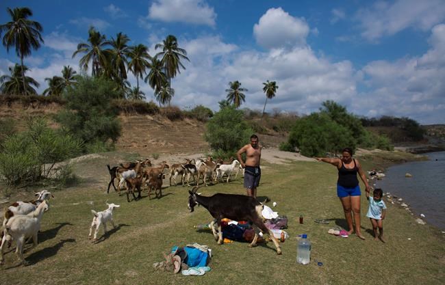 Clash of local officials, vigilantes leaves 11 dead | iNFOnews.ca