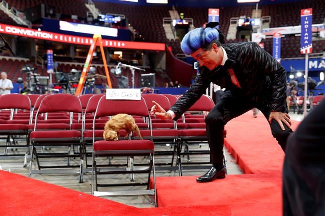 Stephen Colbert crashes RNC stage for 'Hunger Games' prank | iNFOnews.ca Stephen Colbert crashes RNC stage for 'Hunger Games' prank | iNFOnews.ca