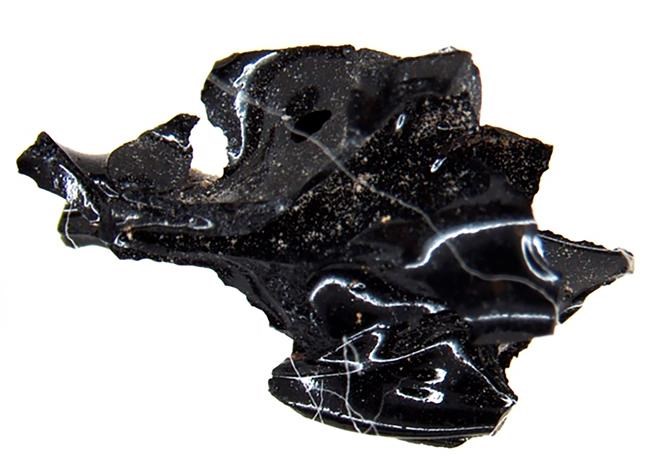 Mount Vesuvius blast turned ancient victim's brain to glass | iNFOnews.ca