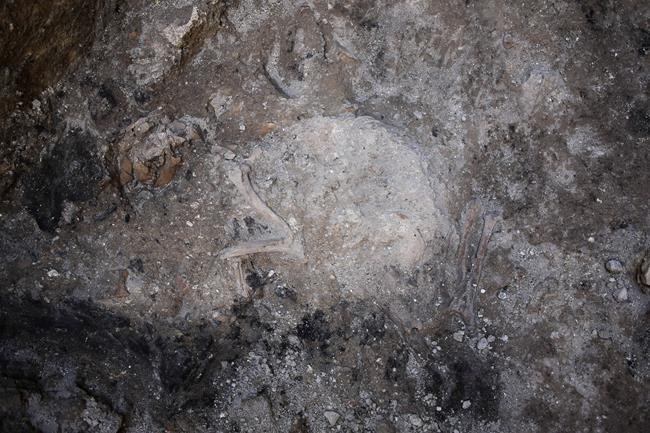 Subway digging uncovers 'Pompeii-like scene' in Rome | iNFOnews.ca