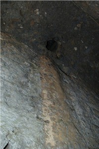 What did ancient Romans eat? Varied diet found from Pompeii latrines, Herculaneum sewers | iNFOnews.ca What did ancient Romans eat? Varied diet found from Pompeii latrines, Herculaneum sewers | iNFOnews.ca