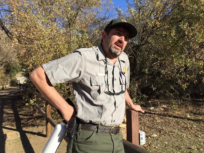 The Latest: Malibu rancher says she won't kill mountain lion | iNFOnews.ca