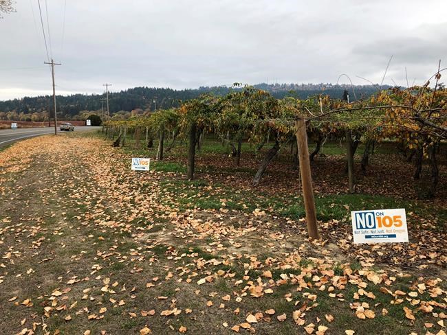 Oregon voters deciding fate of pioneering sanctuary law | iNFOnews.ca CP170070216