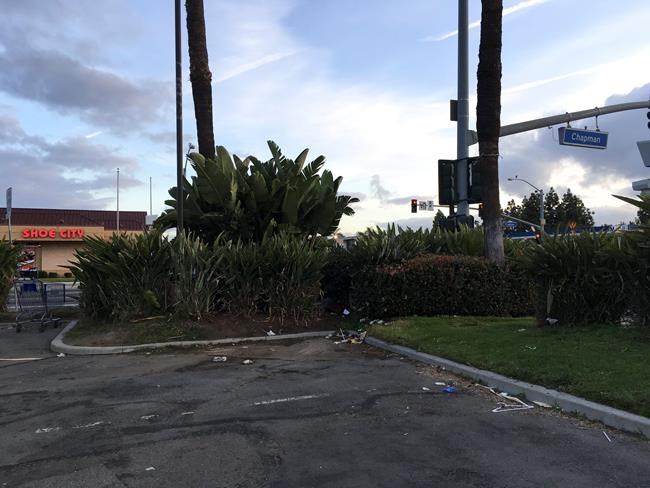 Homeless family of 4 found dead in parked van in California | iNFOnews.ca