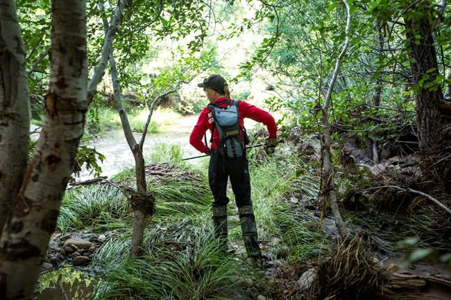 The Latest: More crews, dogs to join search for missing man | iNFOnews.ca CP327626899
